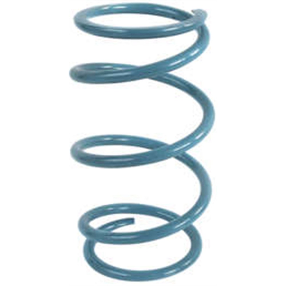 EPI Clutch Spring PEBS30