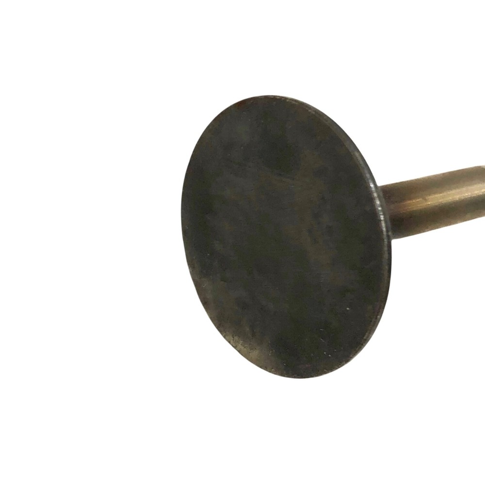 Briggs & Stratton 262247 Intake Valve