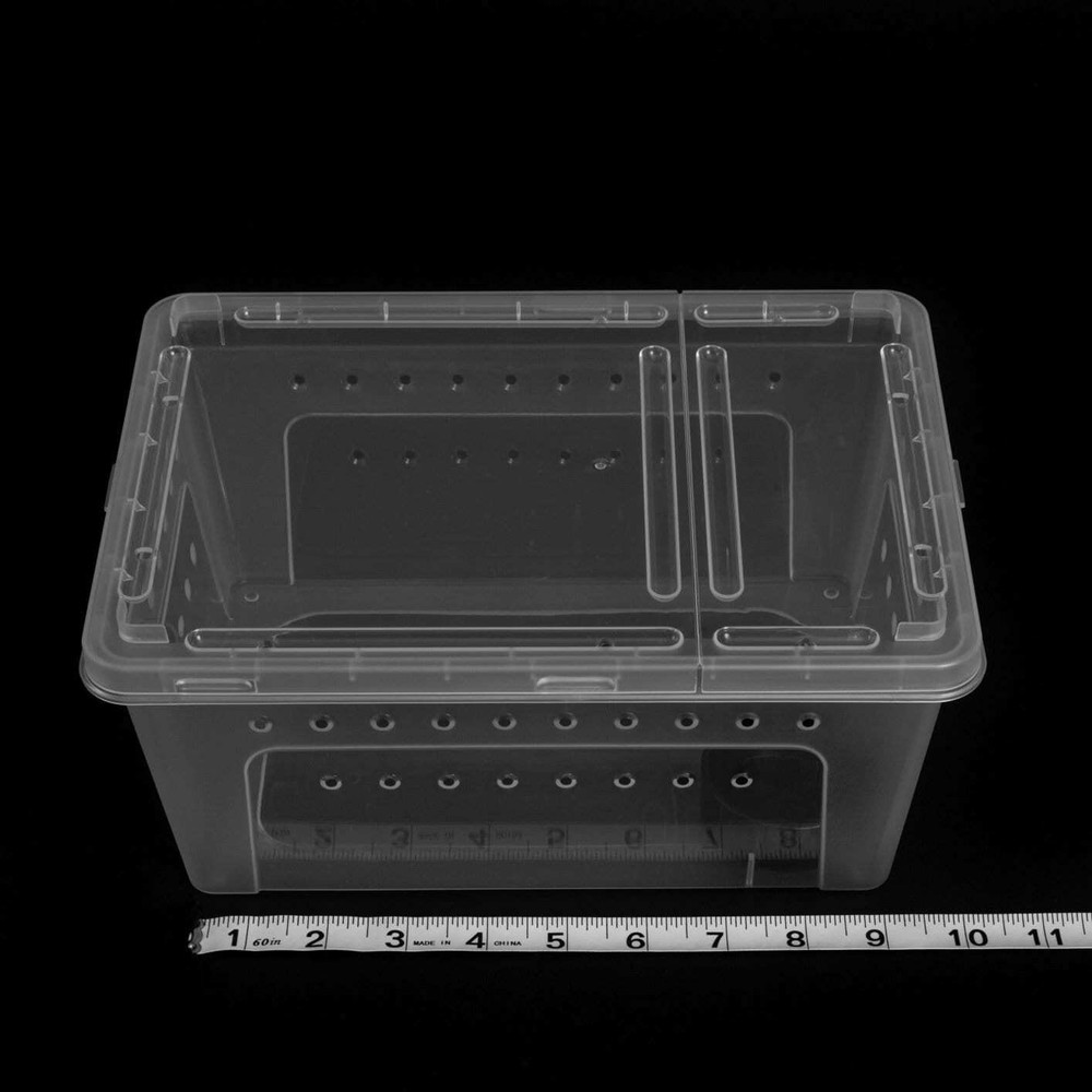 5 PACK Medium Clear Stackable Invertebrate & Reptile Keeper Box