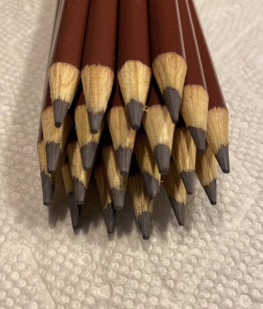 (20) Crayola Colored Pencils (cocoa) BULK