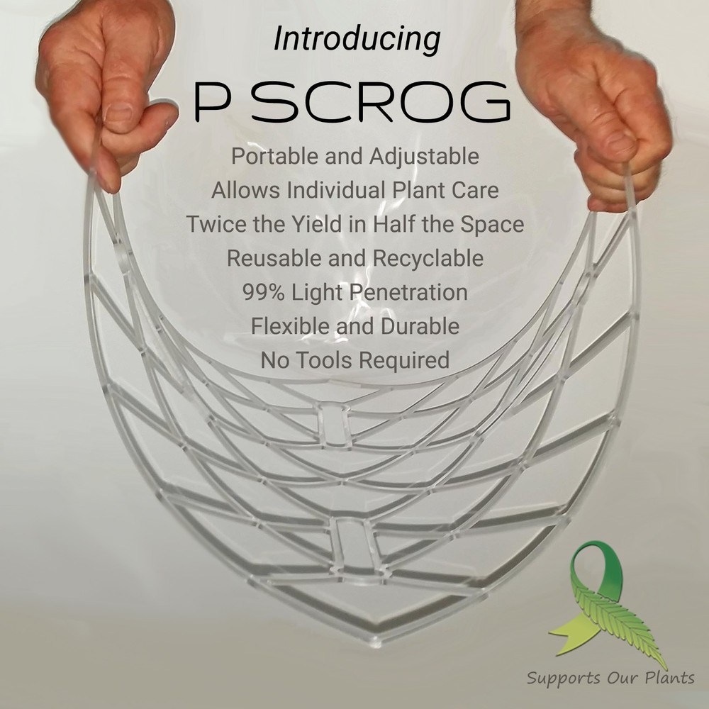 ScrOG Kit - "P SCROG Single Screen" shown with DWC bucket