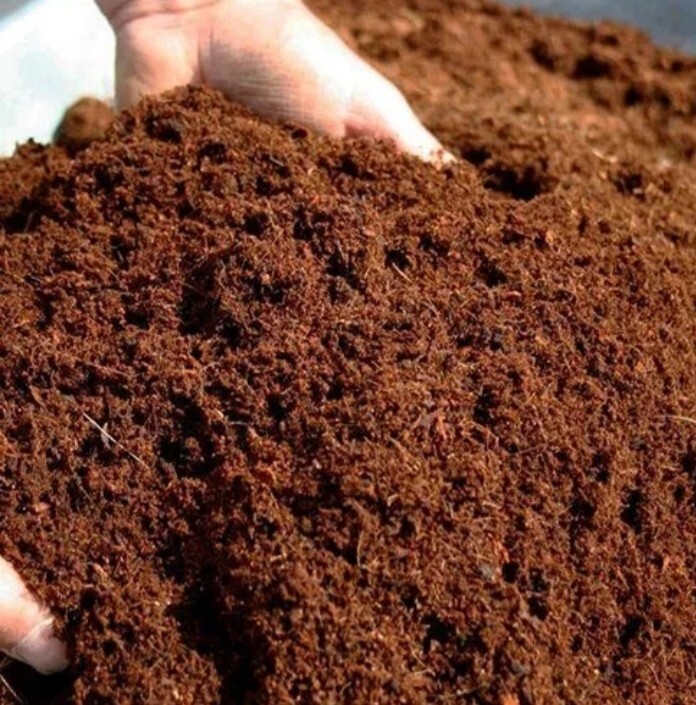 Coco Peat Sterilizing Kohubath Coir Dust Organic
