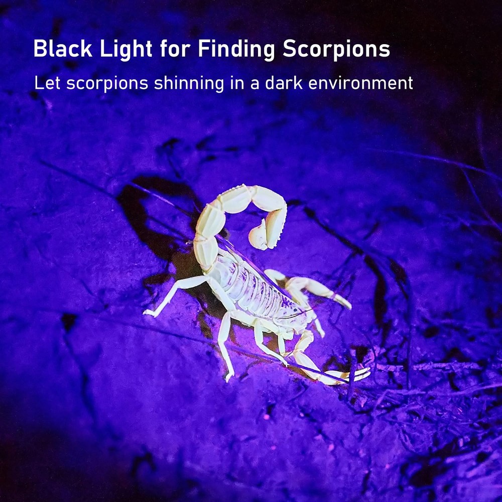 GLOSSDAY UV Flashlight Black Light, 100 LED Light 100LED,