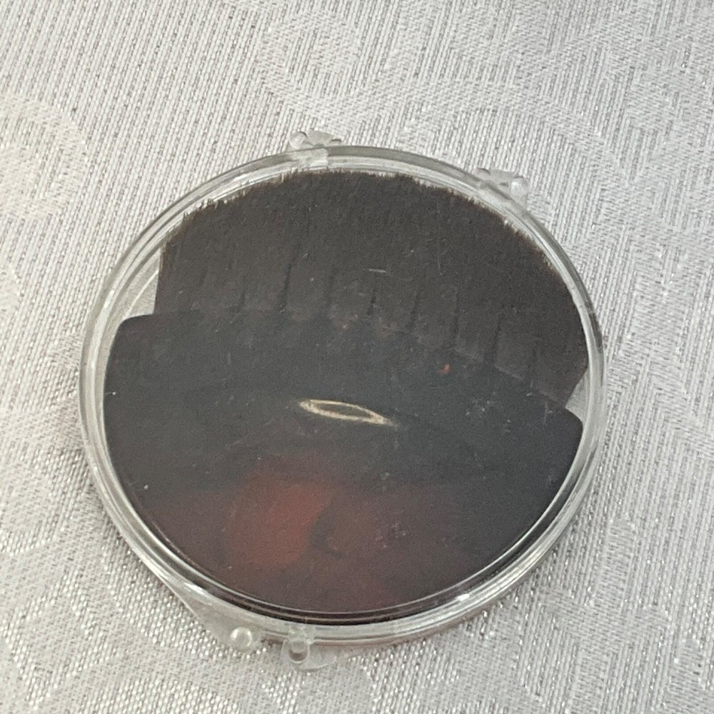Vintage Compact Hair & Beard Brush Clear Protective Case