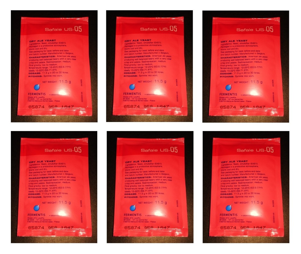 BEER YEAST US-05 6 PACK FERMENTIS SAFALE DRY ALE FOR HOME BREWING YEAST HOMEBREW