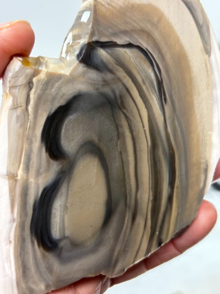 Polish Flint slab w Orbs Cabbing Lapidary Combo Ship Avail