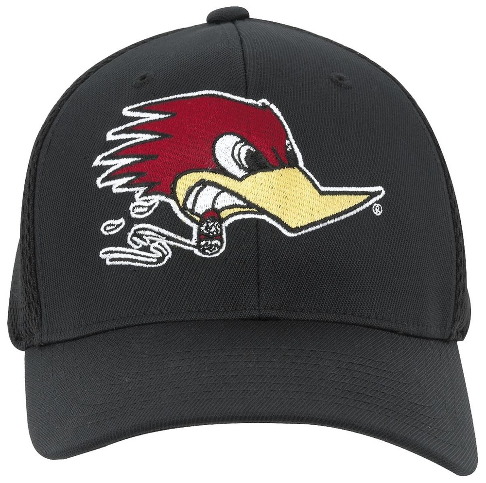 Mr. Horsepower Flexfit Hat H40-S-M