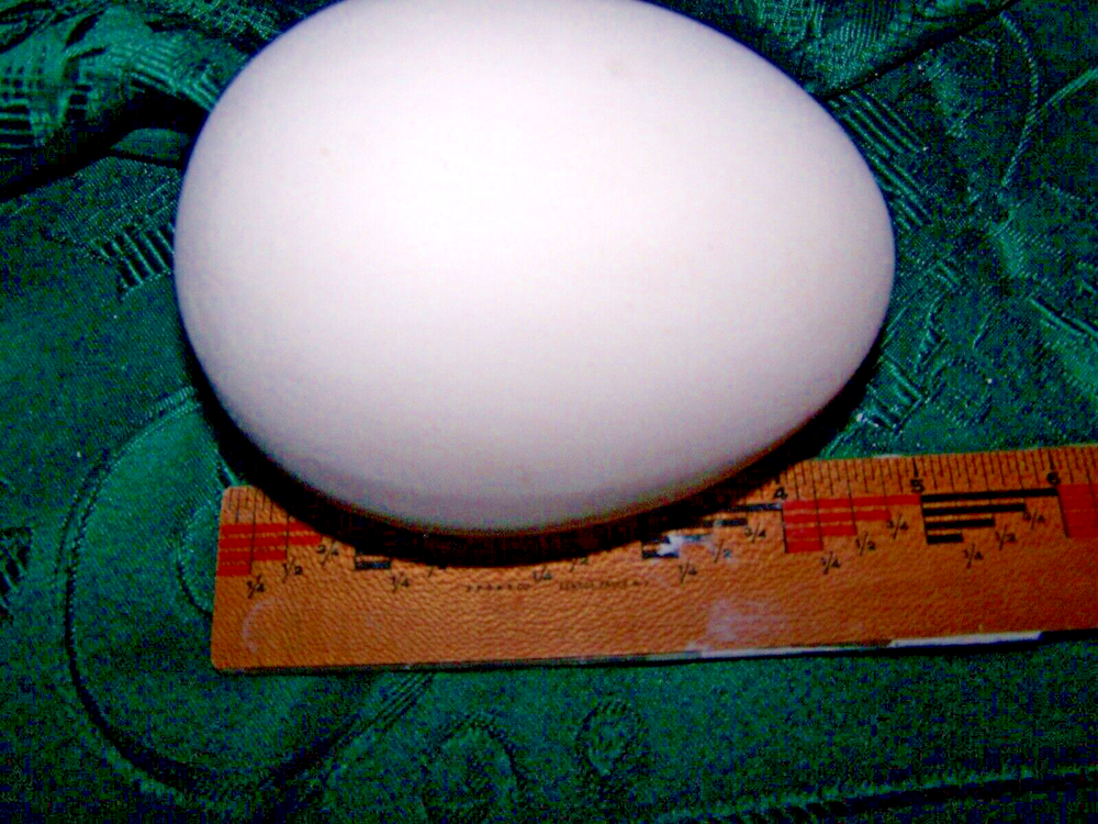 Easter Egg 4.5" Tall Hole is on Side Ceramic Bisque Ready To Paint