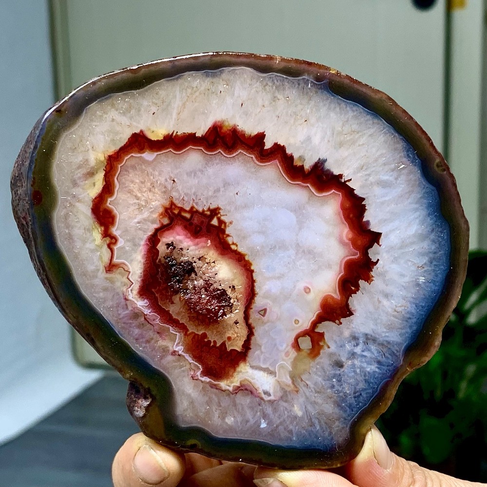 287G Natural Beautiful Agate Geode Druzy Slice Extra Large Gemstone