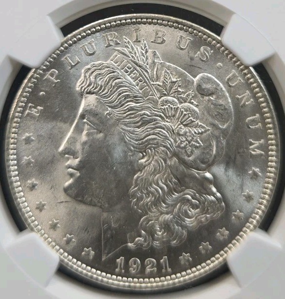 1921-p NGC MS64 Morgan Silver Dollar