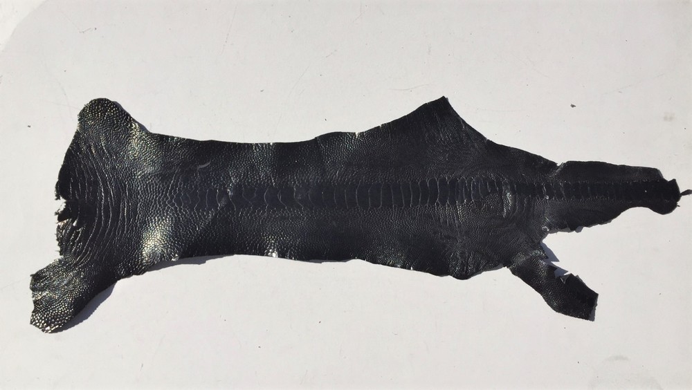 Black Ostrich Leg skin