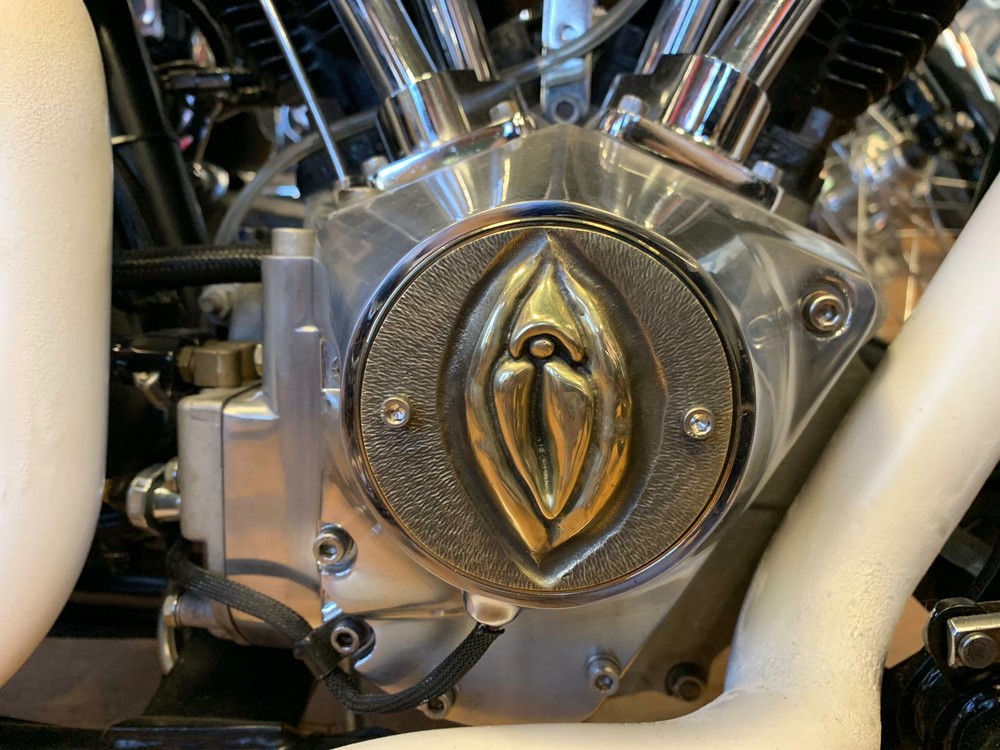 Harley-Davidson SHOVELHEAD, EVOLUTION,Sportster point cover, SOLID BRASS