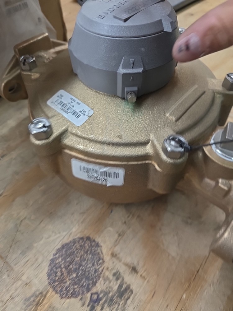 107-9933 Badger Meter