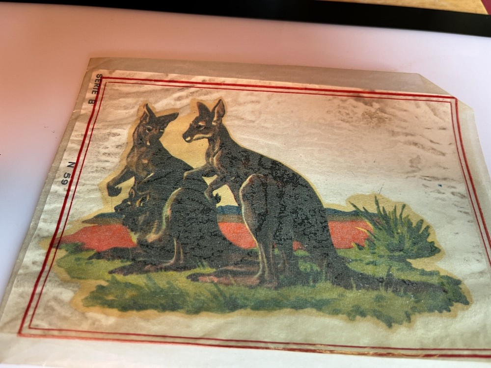 Vintage Water Slide Decals Kangaroos