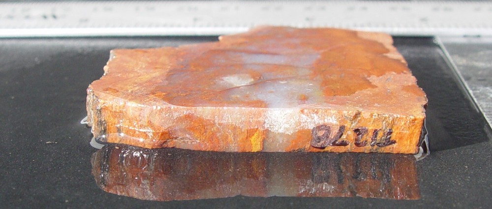 Red and White Agate Lapidary Slab T1278