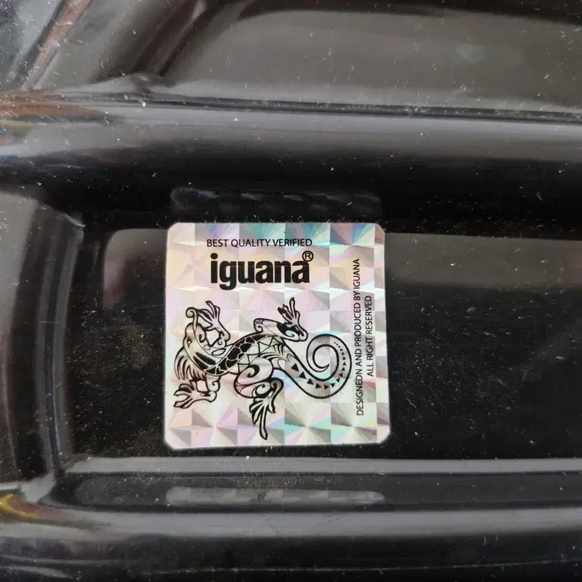 Iguana Small Skateboard Cruiserboard