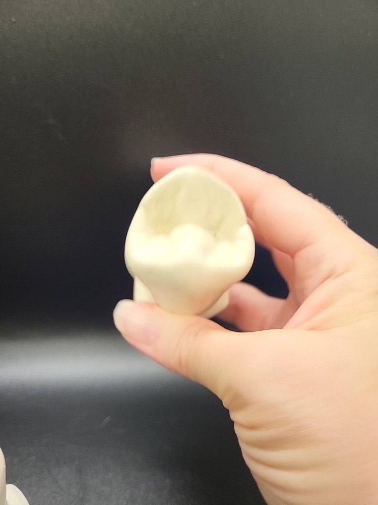 Two Weird Tooth Models 1970's