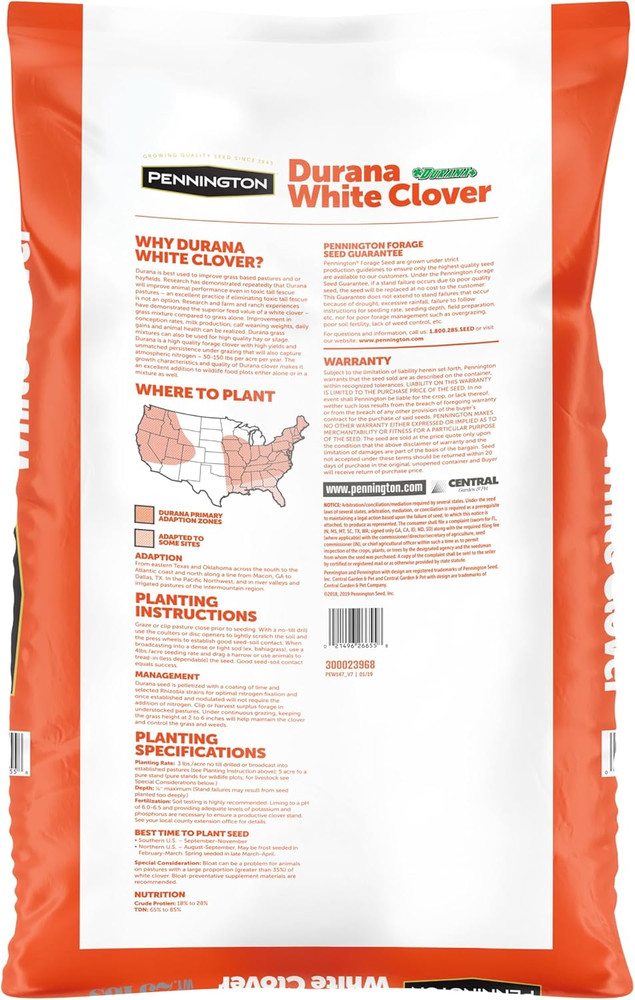 Pennington Durana White Clover
