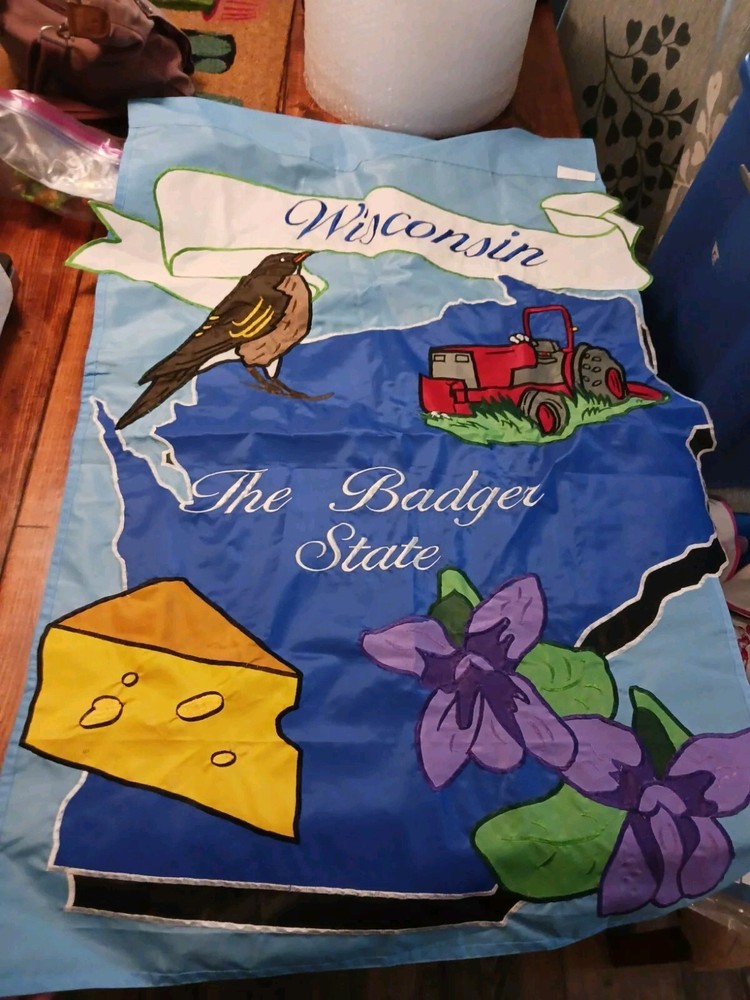 Wisconsin Flag The Badger State