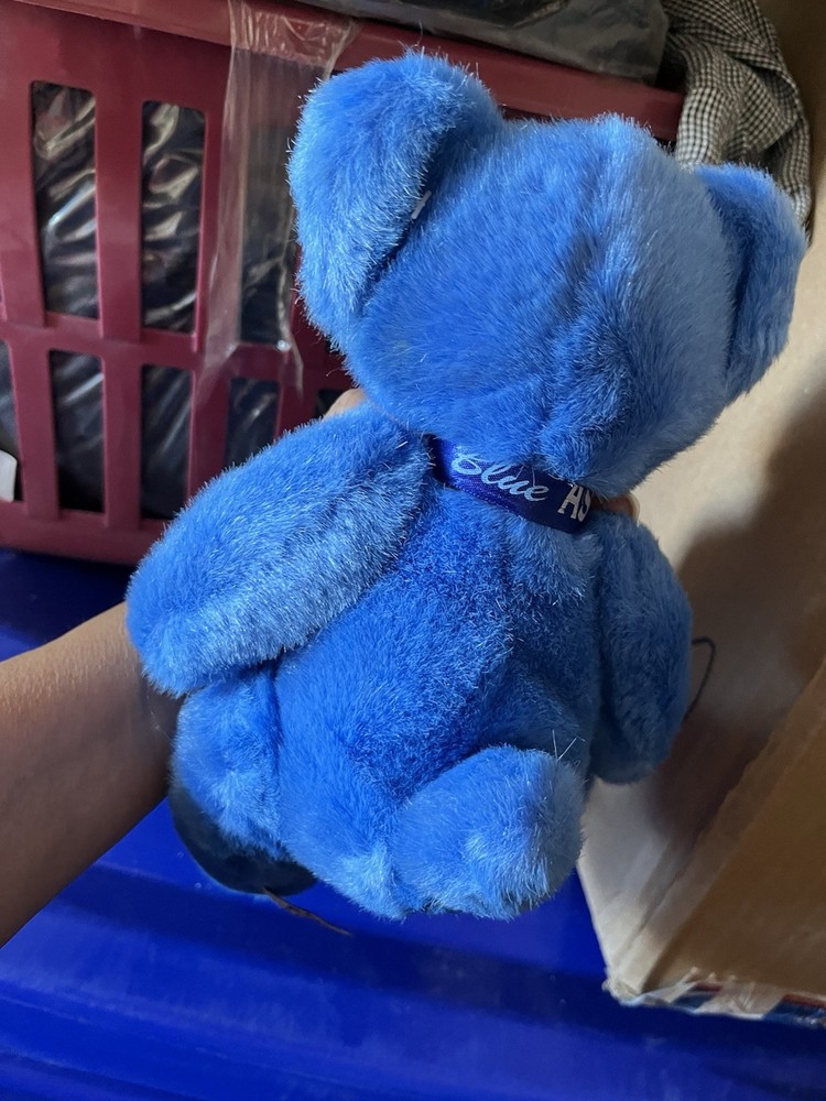 BLUE ASPHALT A&A PLUSH TEDDY BEAR NEW