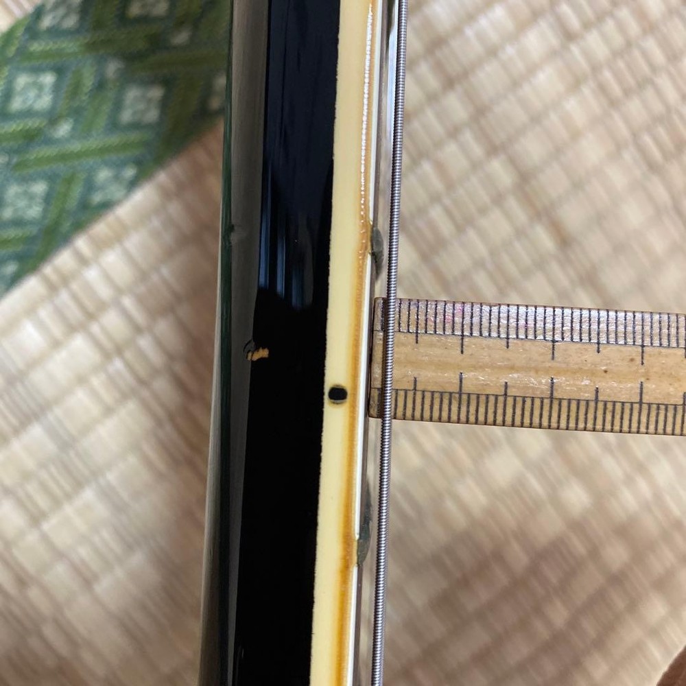 FERNANDES LIMITED EDITION Telecaster type Safe Packing!