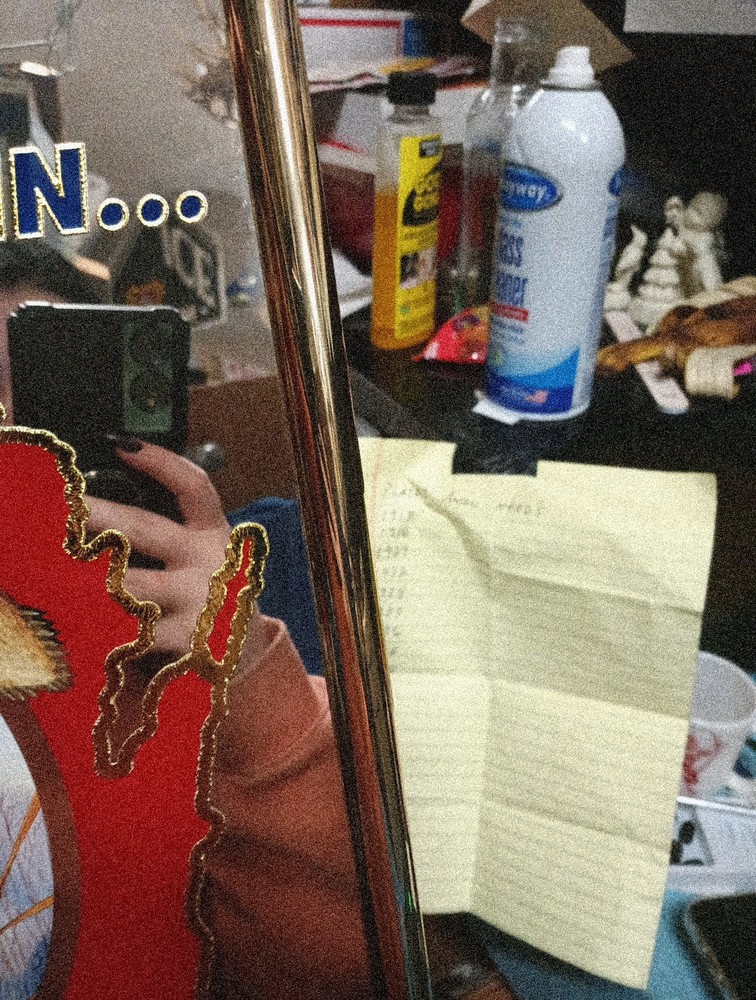 Budweiser Duck Beer Mirror