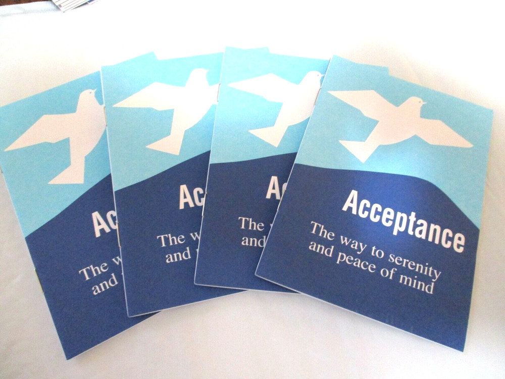 COIN Chip ONE DAY AT A TIME SERENITY PRAYER Recovery Programs