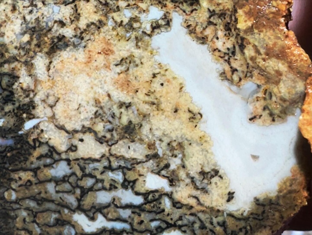 Dinosaur bone rough fortified wash split.