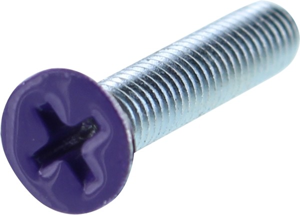 STANDARD PHILLIPS BOLT 1" PURPLE HEAD