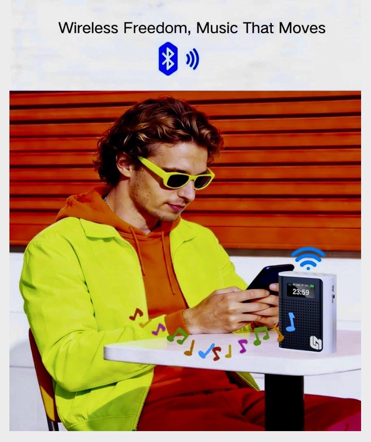 Voice Amplifier Wireless Microphone/Handheld Mic- Bluetooth Portable Speaker -