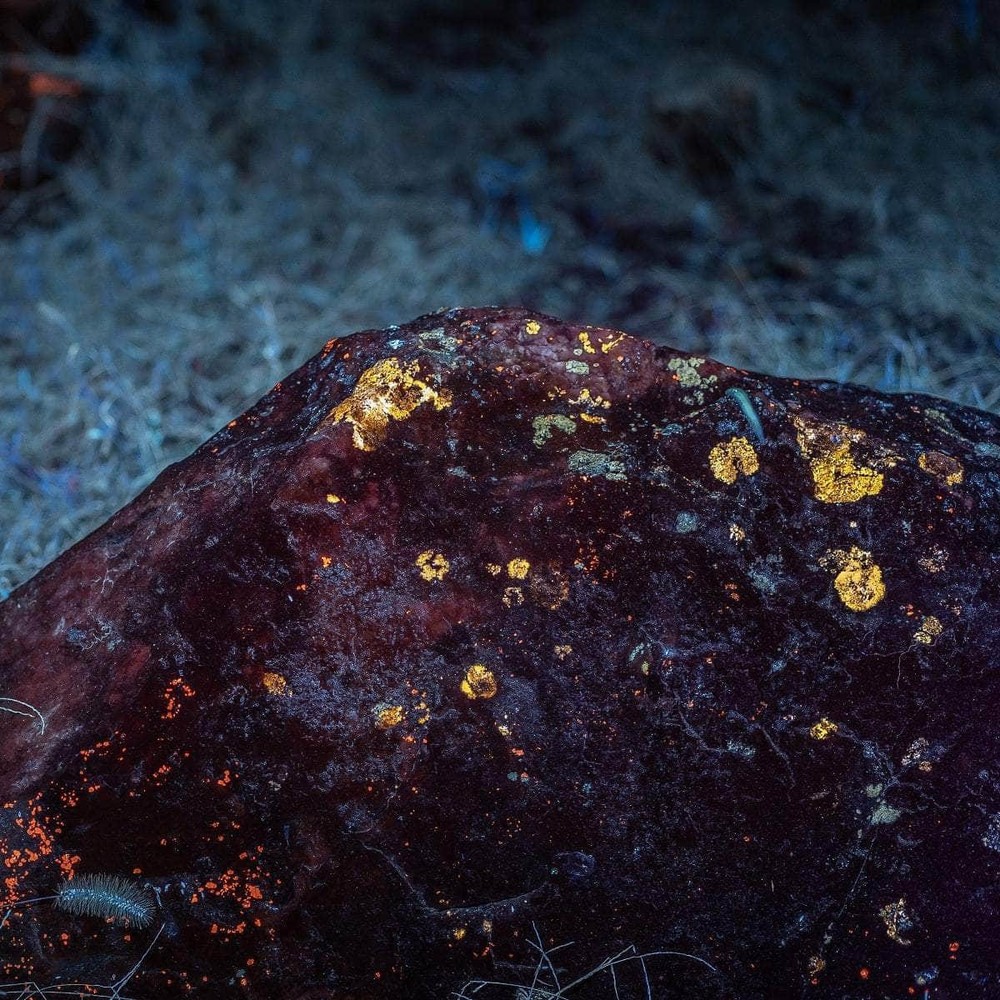 Weltool M4-365 UV flashlight