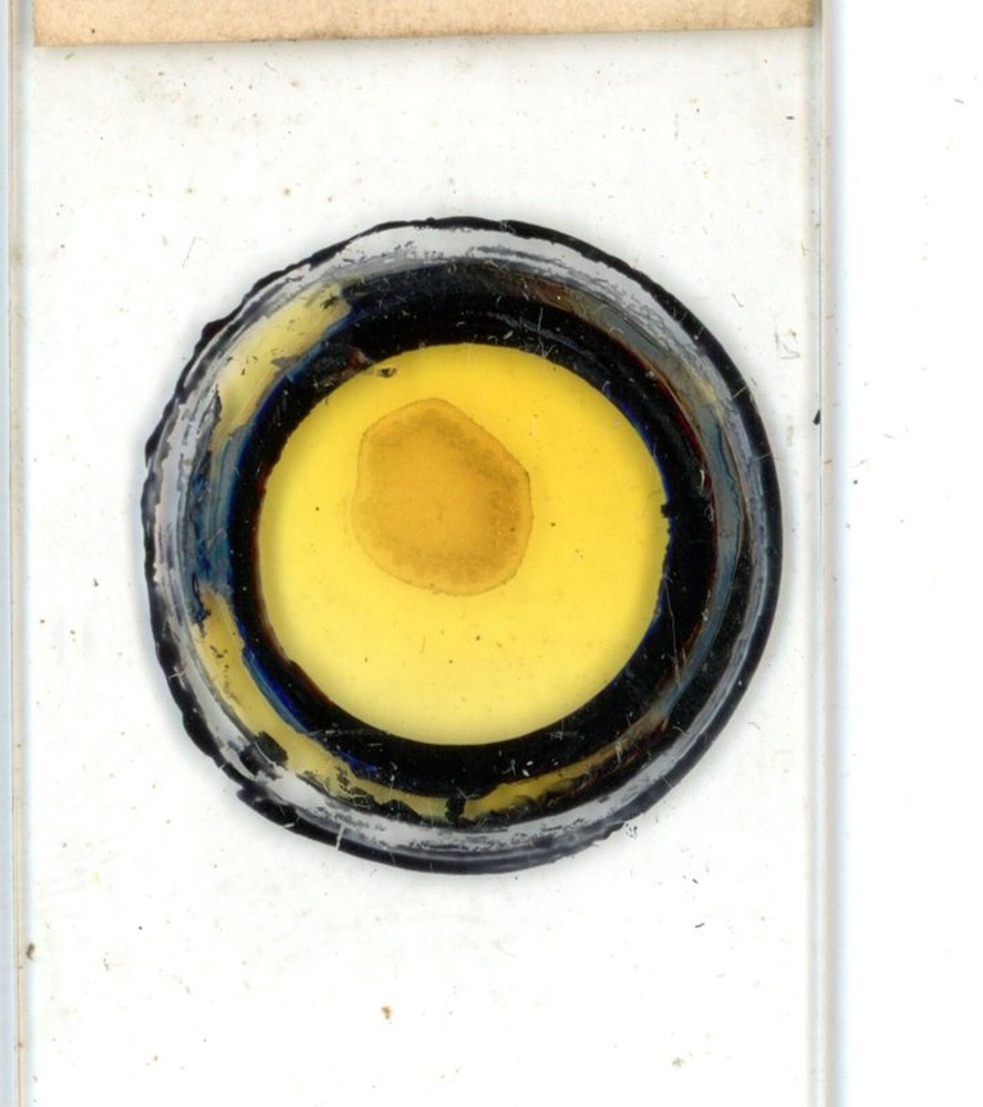 Antique glass Microscope slide Burdock sample #60
