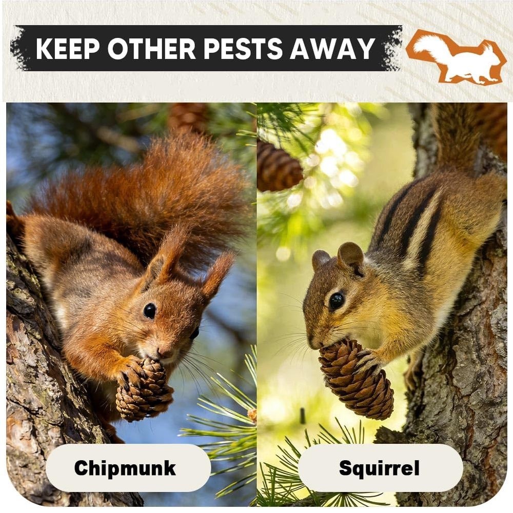 KQCWKH Squirrel keep out of