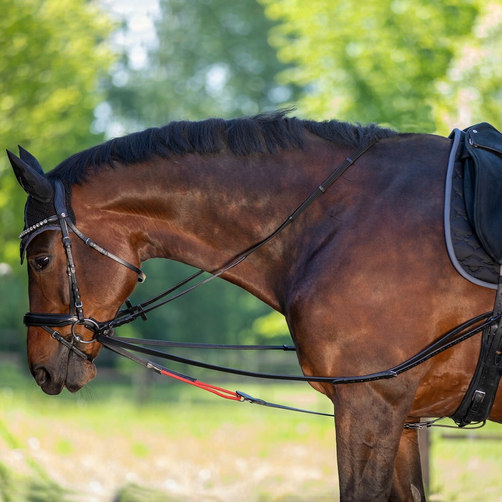 REDINI DA ADDESTRAMENTO TRAINING REINS SYSTEM