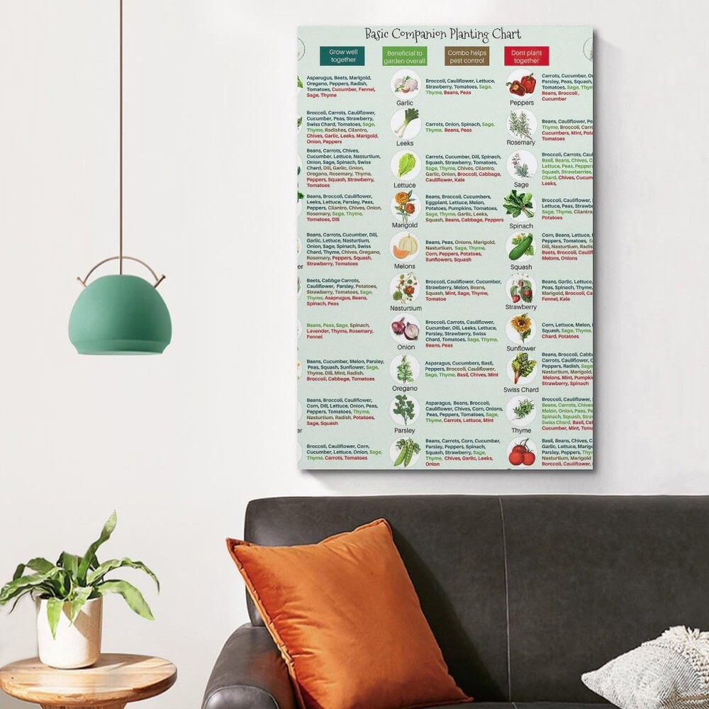 Basic Companion Planting Chart Poster Garden Planting Types Reference Guide W...