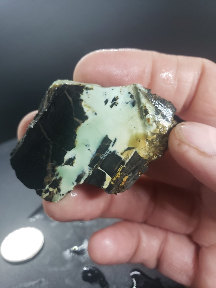 Nevada Gecko Variscite Slab