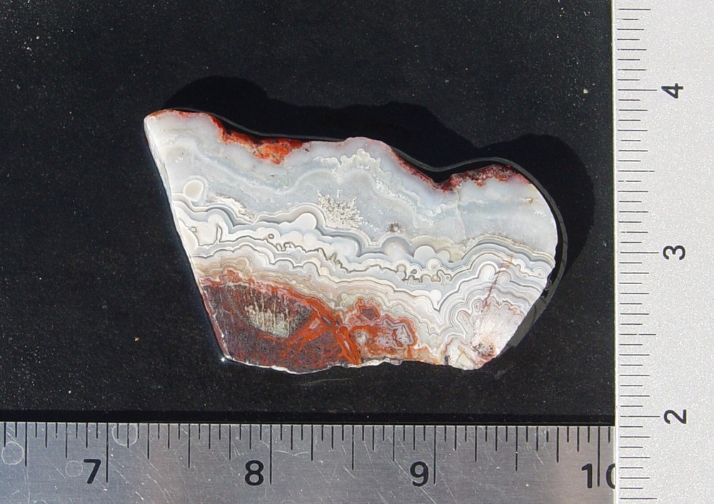 Crazy Lace Agate Lapidary Slab T1233