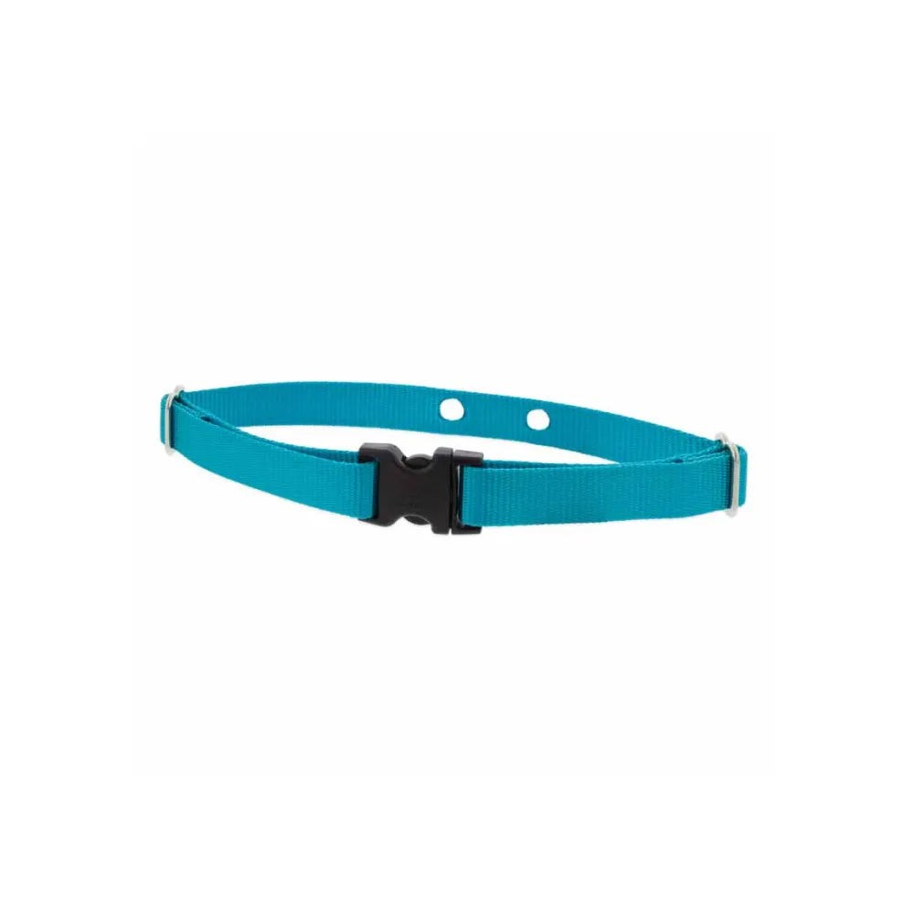 Lupine Pet 2 Hole Adjustable Nylon Replacement Dog Collar Strap
