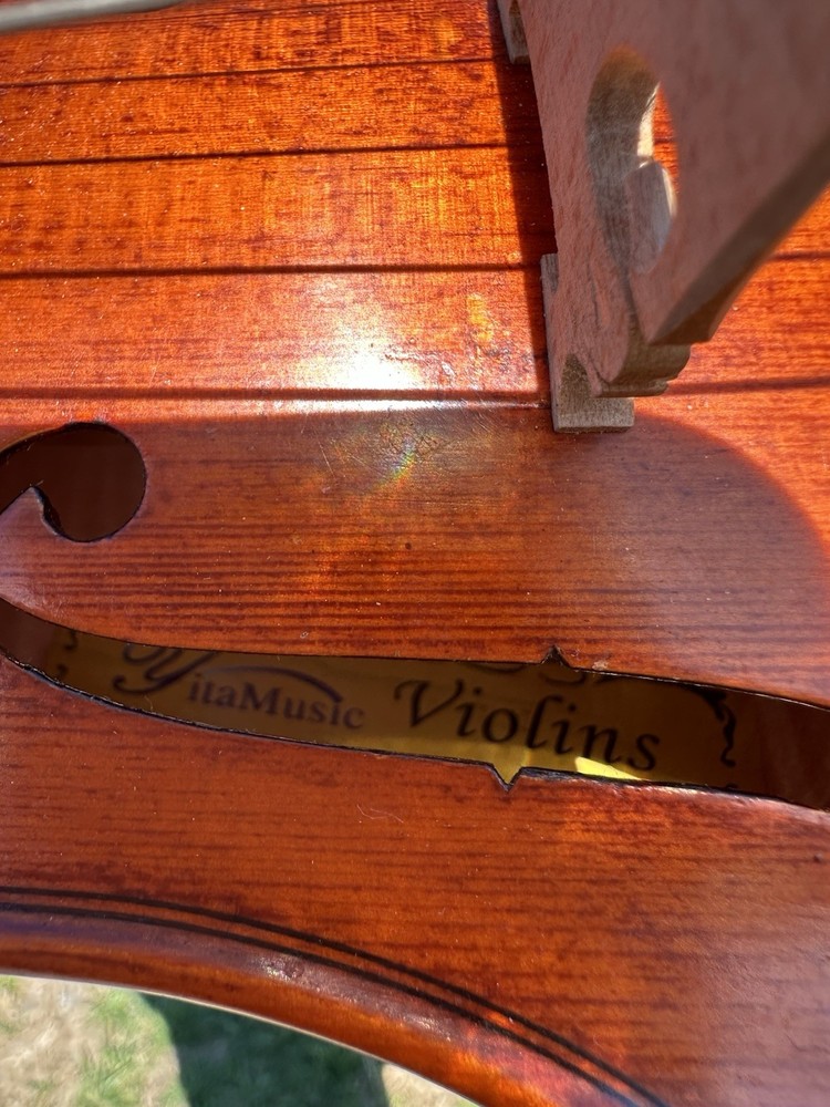 Powerful Guarneri 5-String Violin Pro-Setup Fiddle 4/4