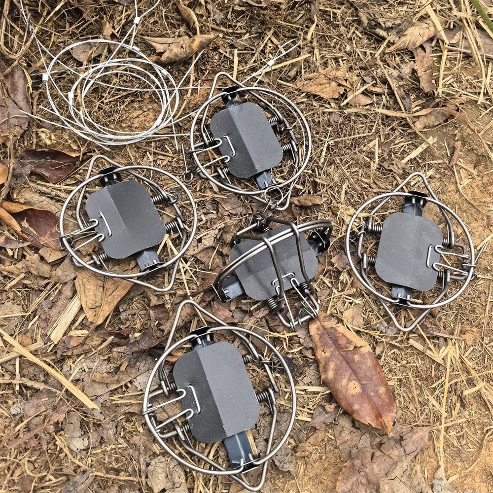 5Pc & 4-3/10 In Strong Power 4 Coil Spring Trap Nutria Rabbit Fox Gopher Mole