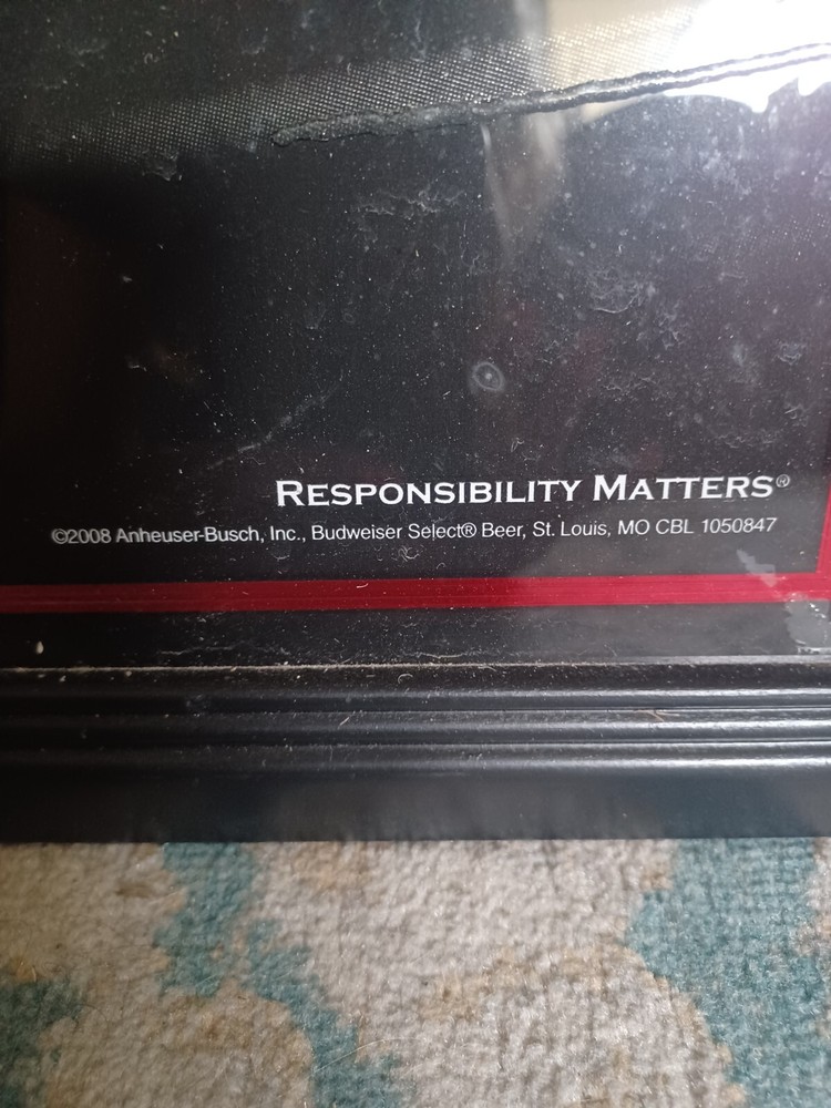 2008 Budweiser SELECT "Responsibility Matters"