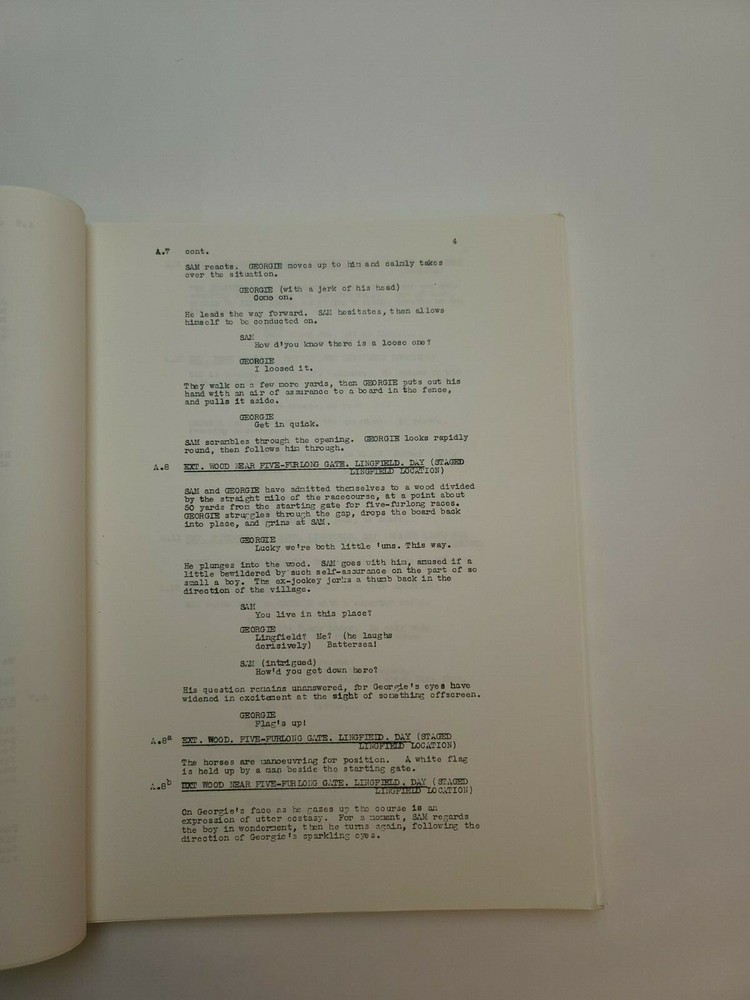 RAINBOW JERSEY / 1990's Unproduced Movie Script Screenplay