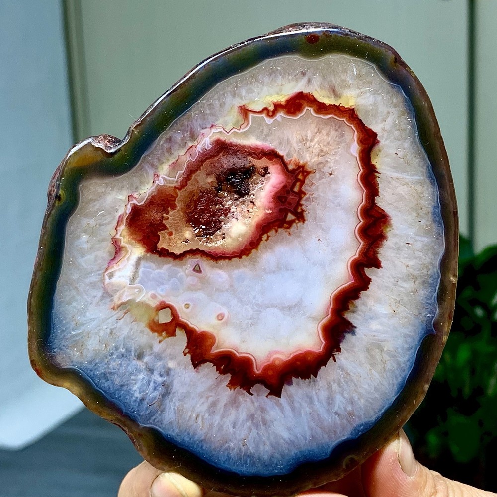 287G Natural Beautiful Agate Geode Druzy Slice Extra Large Gemstone