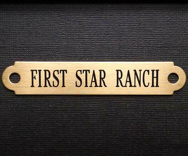 SADDLE PLATE 2 1/2" x 3/8" Custom Engraved Solid Brass Bridle or Brow