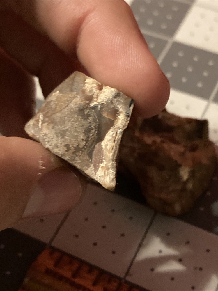 Ancient Petrified Wood Chunks