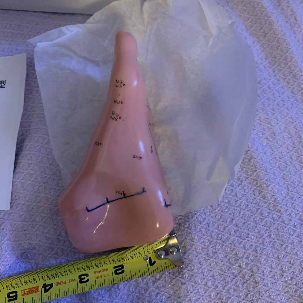 Human Acupuncture Foot Teaching Learning Model Tool 13 Cm English Version