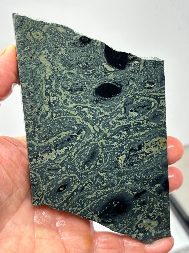 Kambaba Jasper Stromatolite Slab Lapidary Cabbing Combo Ship Avail