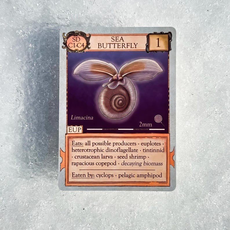 Ecologies: Marvelous Microbes - Explore Microscopic Ecosystems