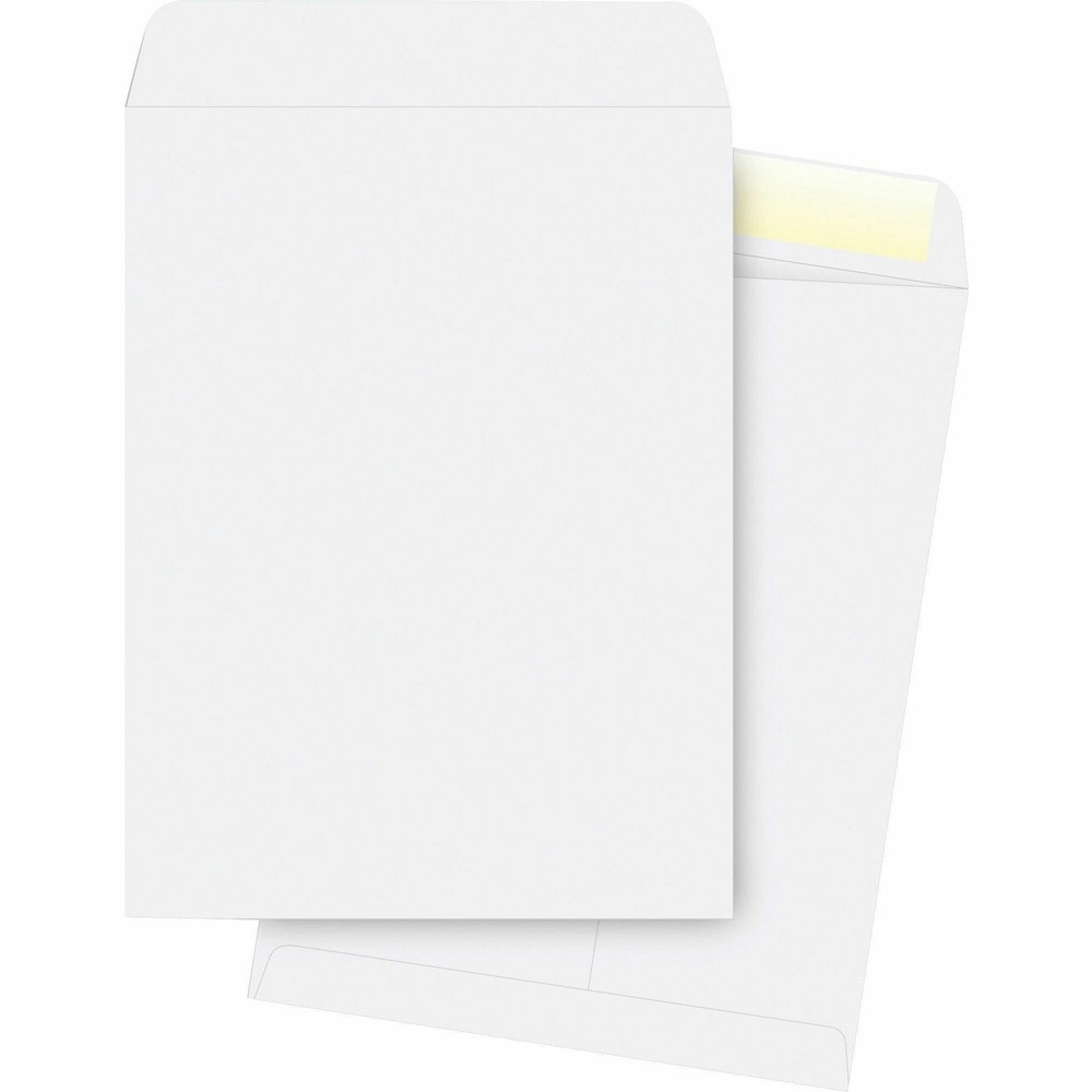 Business Source BSN42103 Catalog Envelope 10x13 250/box White