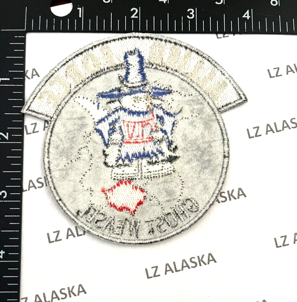 OPERATION ALLIED FORCE USAF F-4 PHANTOM GHOST WEASEL PATCH (AFD)